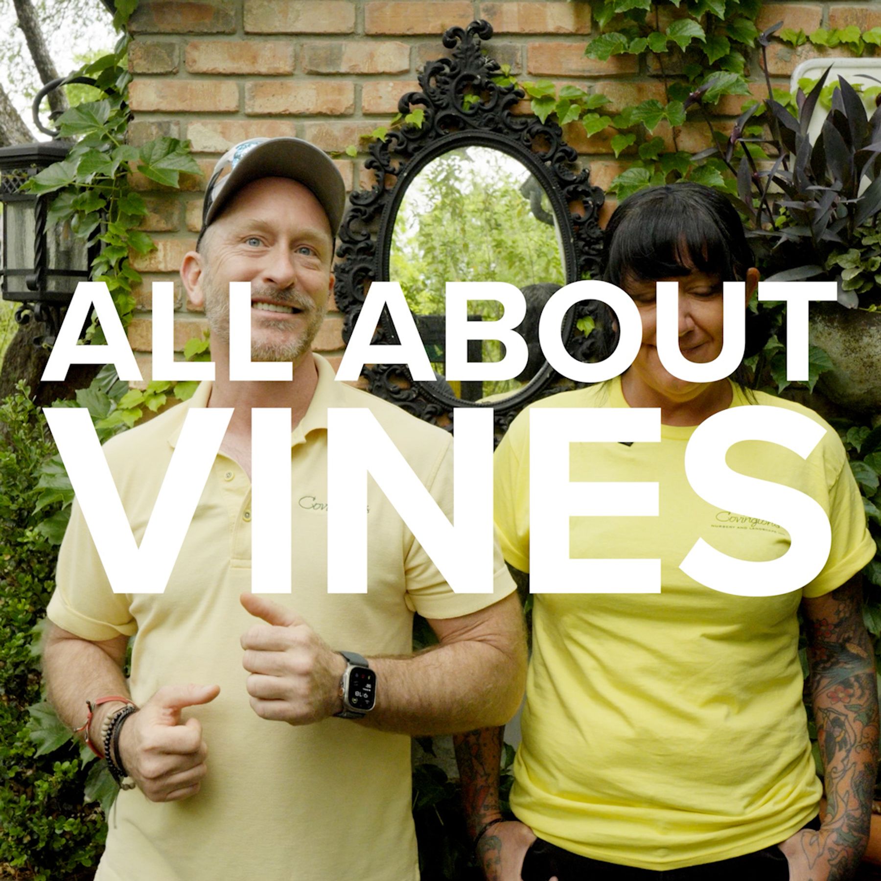 Vines SQUARE